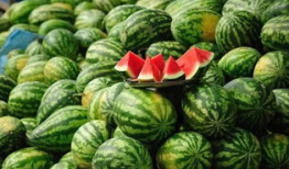 国外吃瓜爆料叫什么名字,揭秘国外“吃瓜爆料”背后的真相与内幕